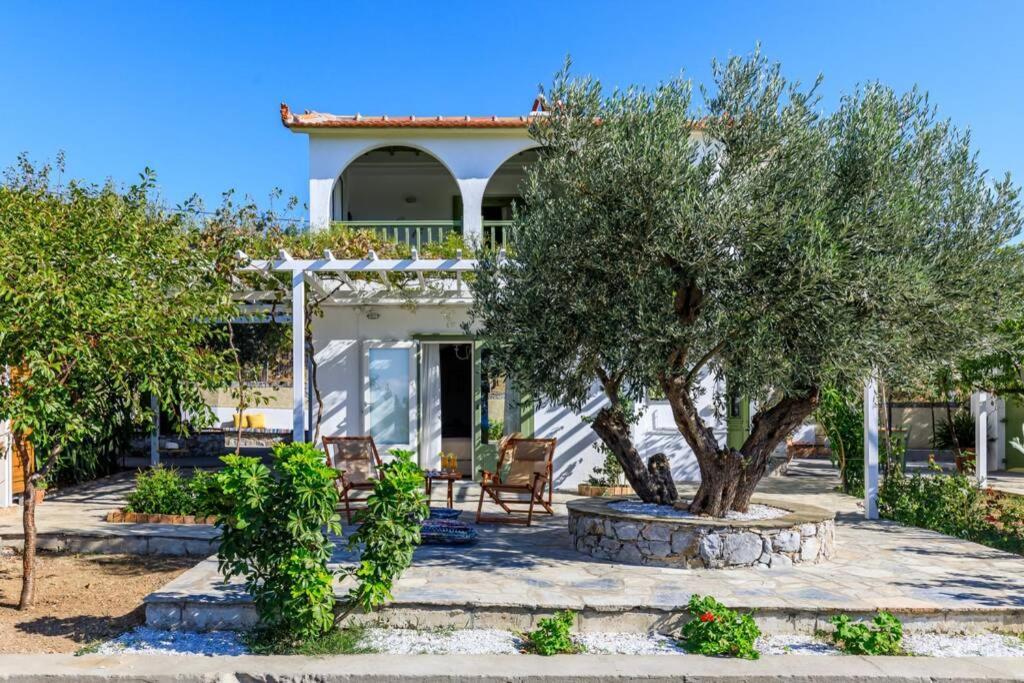 Nina-Myrtia Countryside House Skopelos Ditropo Eksteriør bilde